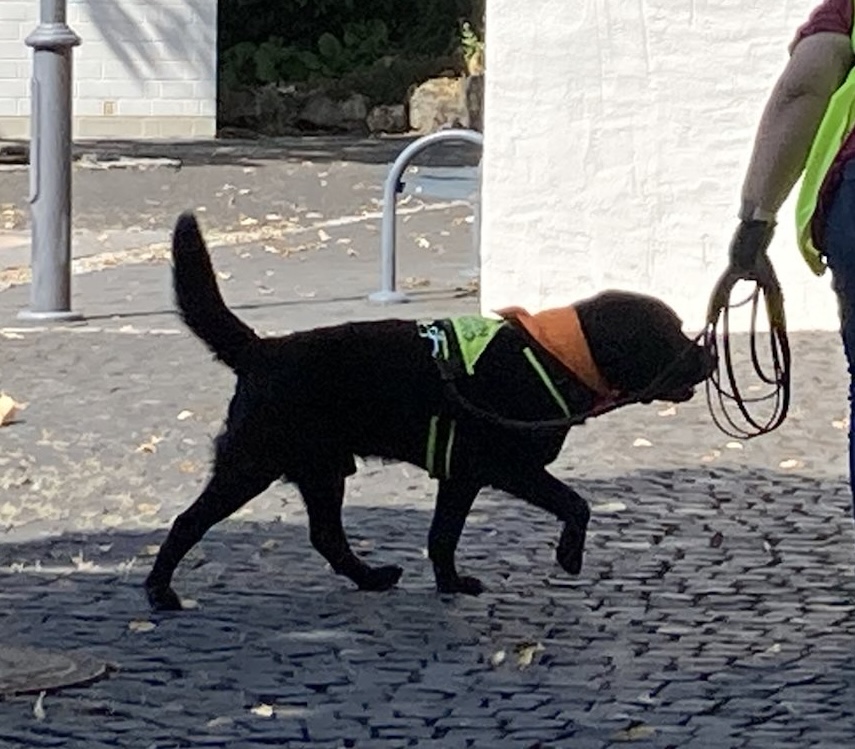 Bild zur Karte