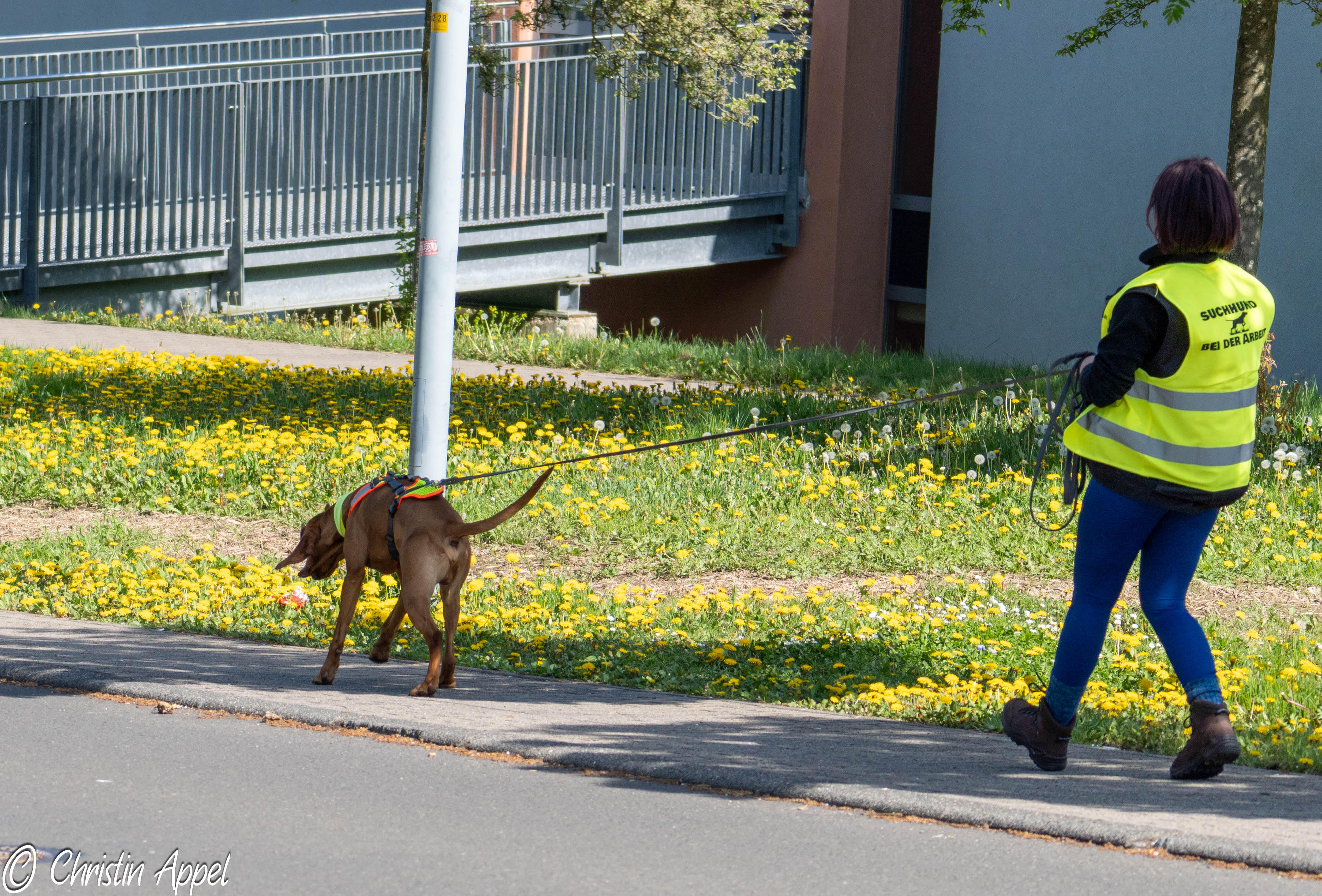 Bild zur Karte